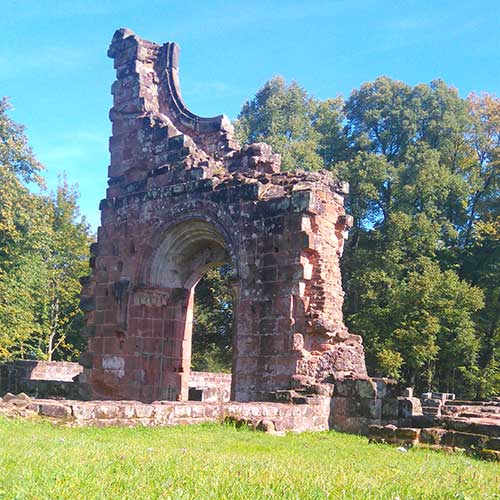 Pflanzenmythologische Kräuterwanderung zur Klosterruine Wörschweiler