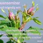 Frauenseminar: „Lustvoll lebendig sein“