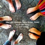 Waldbaden & Wildkräuter - die  Natur erleben mit allen Sinnen  für Frauen