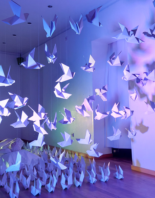 Ausstellung: "Vogel der Verwandlung"