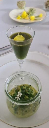 Angela´s kreative Wildpflanzenküche