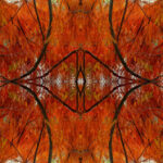 LandArt für Erwachsene: Kunst in und mit der Natur