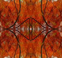 LandArt für Erwachsene: Kunst in und mit der Natur