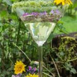 WildpflanzenApéro- Naturgang und exklusiver Gaumenschmaus zugleich