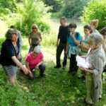 Beginn der Ausbildung in Pflanzenheilkunde (Phytotherapie) Aufbaukurs / Vertiefungskurs