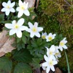 Ferienkurs "Drei Atemabende"