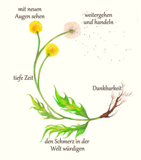 Blume mit Symbolik - Kukula