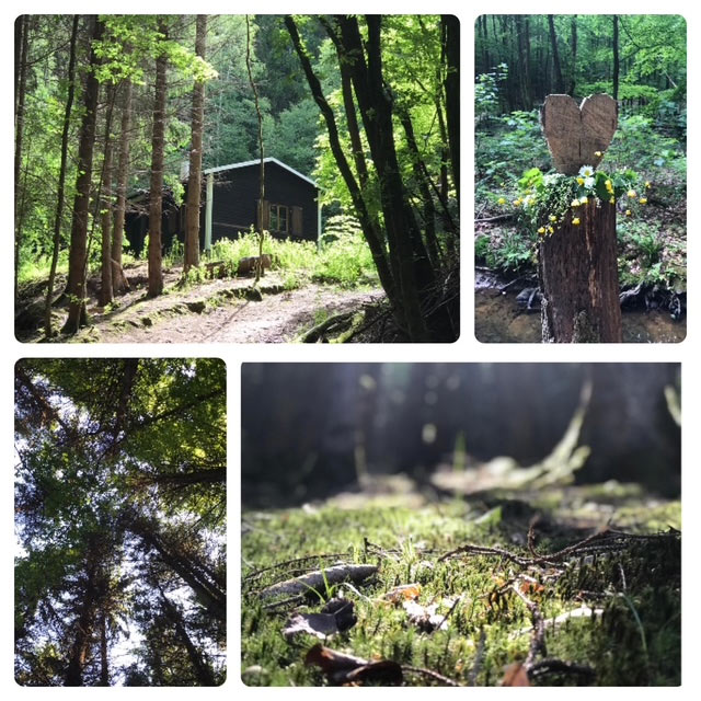 Im Wald
