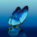 Transformationscoaching mit Ingeburg Barbian und Annette Blasius