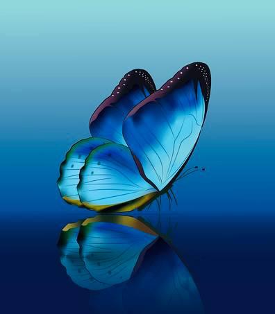 Transformationscoaching mit Ingeburg Barbian und Annette Blasius