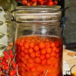 Goldener Herbst: Kulinarische Wanderung zu essbaren Wildpflanzen, Beeren und Baumfrüchten