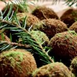 Natur auf dem Teller: Wildkräuterwanderung für alle Genußliebenden - Wilde Wurzeln, Nadelbäume, Baum und Heckenfrüchte